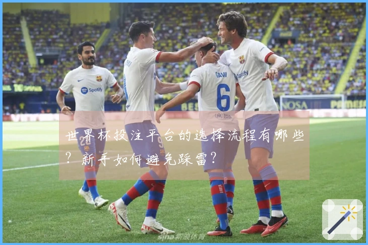 世界杯投注平台的选择流程有哪些？新手如何避免踩雷？