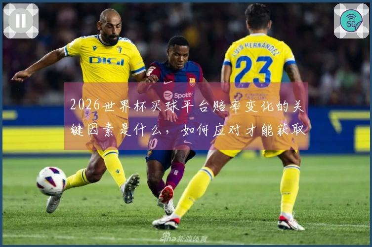 2026世界杯买球平台赔率变化的关键因素是什么，如何应对才能获取最佳收益？