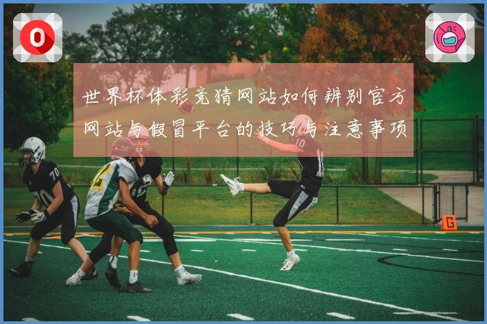 世界杯体彩竞猜网站如何辨别官方网站与假冒平台的技巧与注意事项