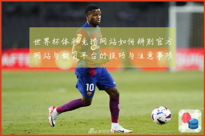 世界杯体彩竞猜网站如何辨别官方网站与假冒平台的技巧与注意事项
