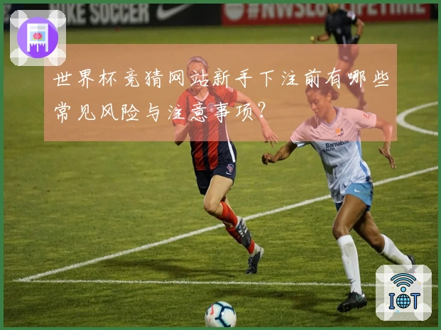 世界杯竞猜网站新手下注前有哪些常见风险与注意事项？