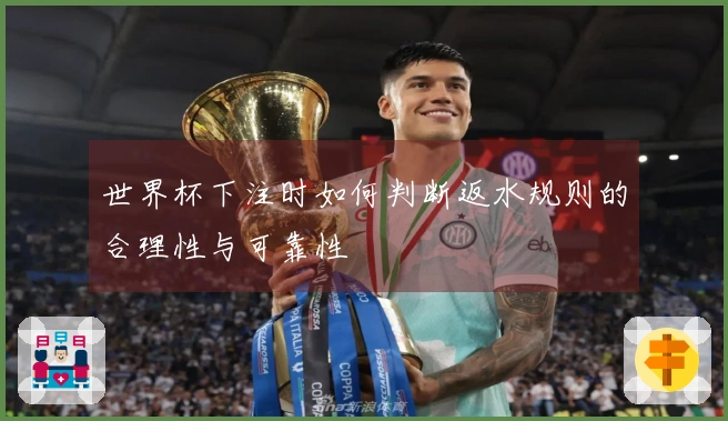 世界杯下注时如何判断返水规则的合理性与可靠性