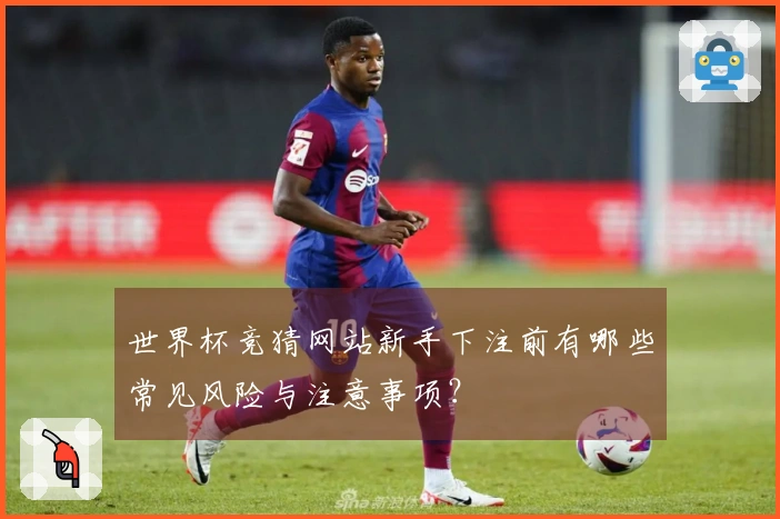 世界杯竞猜网站新手下注前有哪些常见风险与注意事项？