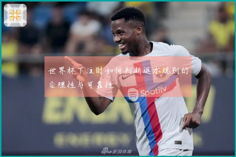 世界杯下注时如何判断返水规则的合理性与可靠性