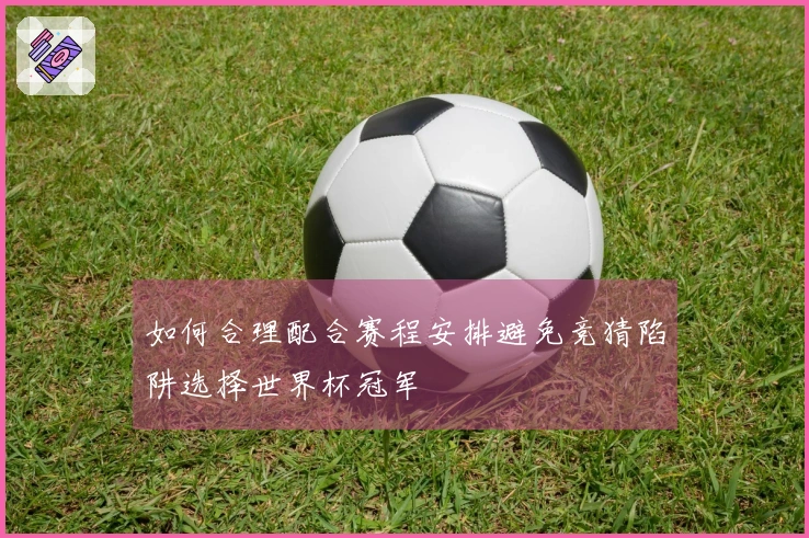 如何合理配合赛程安排避免竞猜陷阱选择世界杯冠军