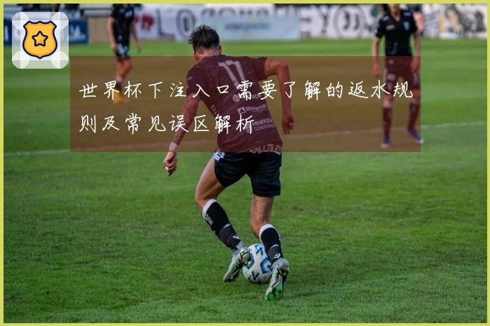 世界杯下注入口需要了解的返水规则及常见误区解析