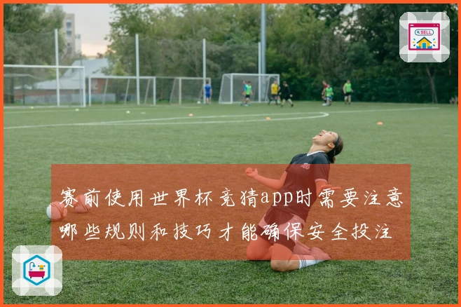 赛前使用世界杯竞猜app时需要注意哪些规则和技巧才能确保安全投注
