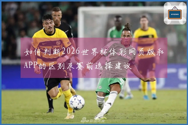 如何判断2026世界杯体彩网页版和APP的区别及赛前选择建议