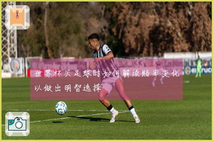 世界杯买足球时如何解读赔率变化以做出明智选择