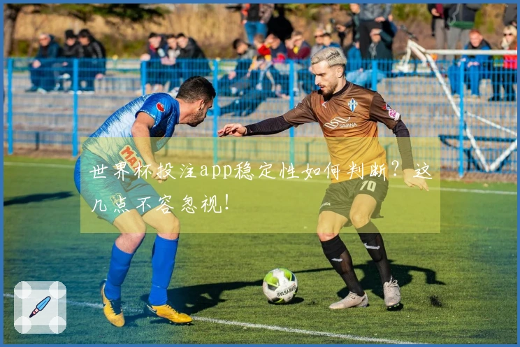 世界杯投注app稳定性如何判断？这几点不容忽视！