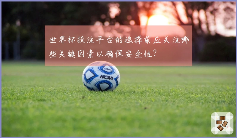 世界杯投注平台的选择前应关注哪些关键因素以确保安全性？