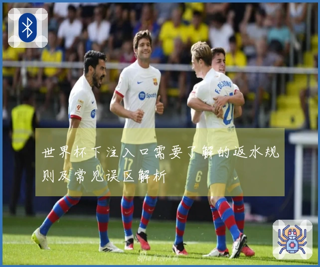 世界杯下注入口需要了解的返水规则及常见误区解析