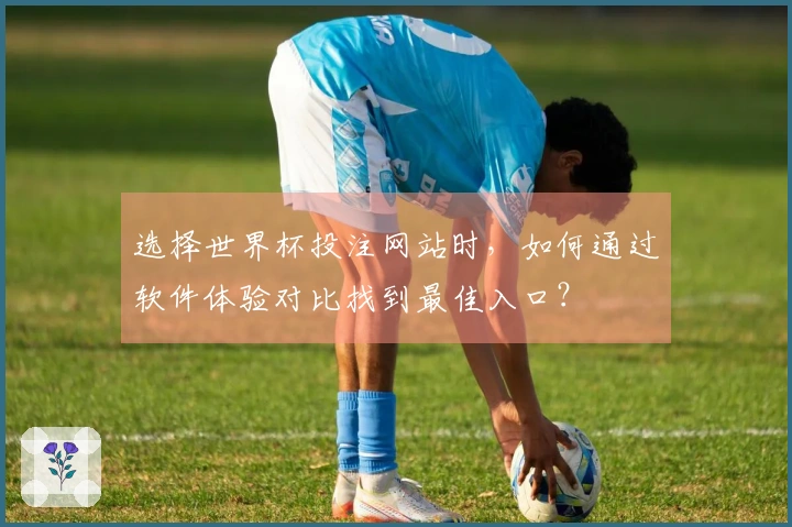 选择世界杯投注网站时，如何通过软件体验对比找到最佳入口？