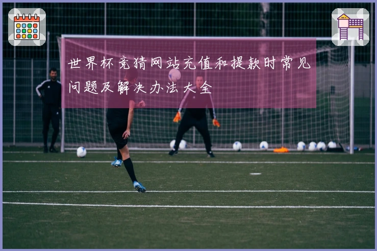 世界杯竞猜网站充值和提款时常见问题及解决办法大全