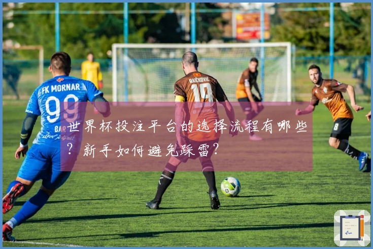 世界杯投注平台的选择流程有哪些？新手如何避免踩雷？