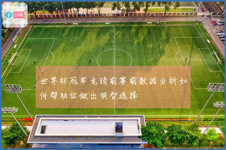 世界杯冠军竞猜前赛前数据分析如何帮助你做出明智选择